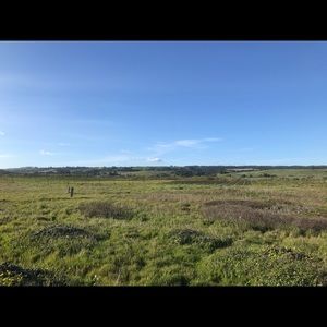 Meet your Posher, Jeffrey